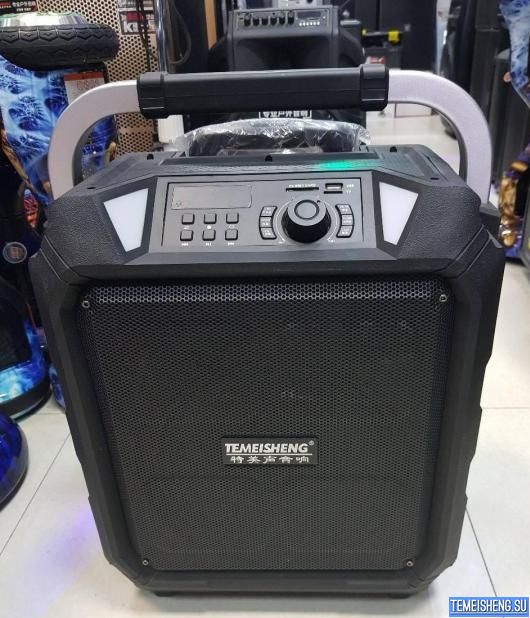 Комбоусилитель Temeisheng SL10