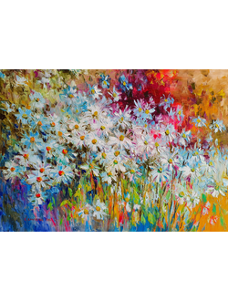 Вечерние ромашки