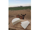 Сыр из козьего молока чешских коз французский полутвердый | ферма Сытникъ