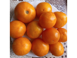 Томат Сладкий Солано (AAA Sweet Solano)