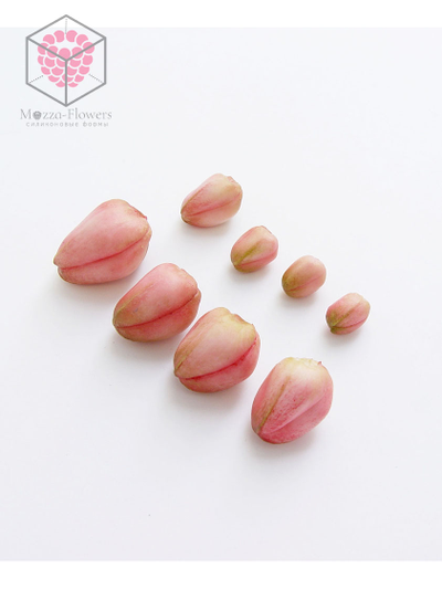 Набор молдов "Бутоны орхидеи фаленопсис"