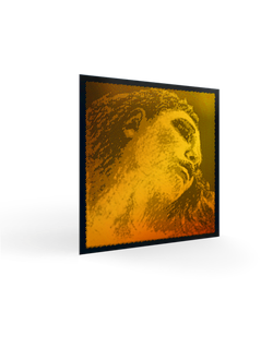 Pirastro Evah Pirazzi Gold violin SET, G-silver