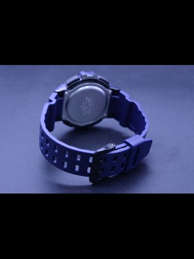 Часы Casio WS-1200H-2A