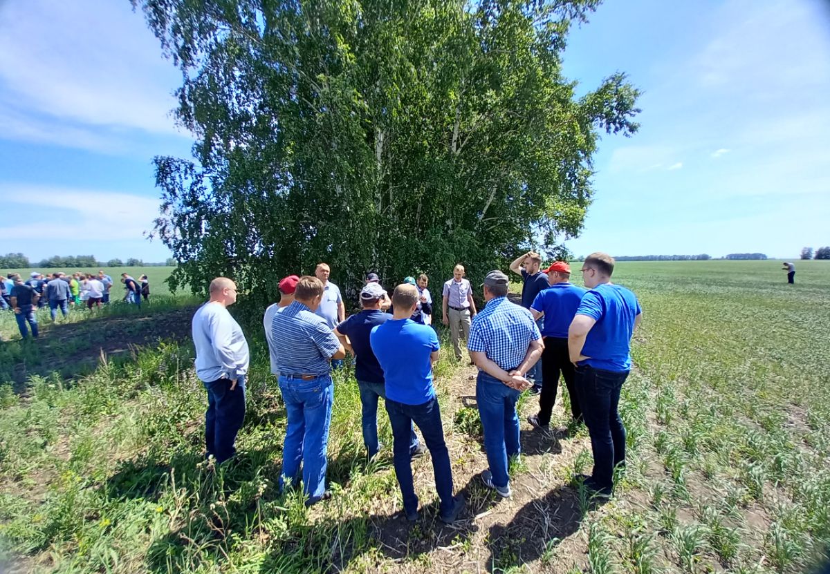 Живое общение со специалистами, обмен опытом - вот ради чего организуются семиинары!