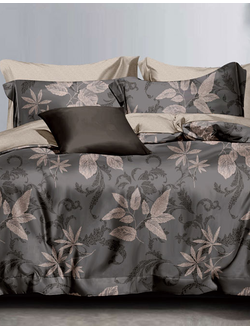 Постельное белье евро TANGO Dream Fly микросатин 200x220x1 220x245x1 50x70x2 DF03-459