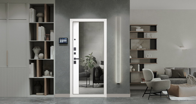 Стальная дверь   Forest с зеркалом