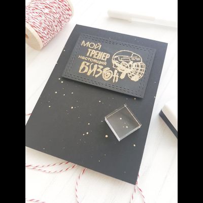 ФП штамп &quot;Мой тренер бизон&quot; (хоккей)