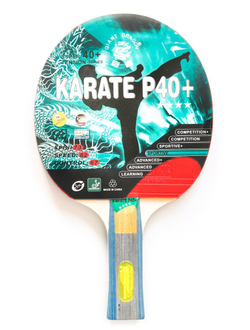 Теннисная ракетка Dragon Karate 4 Star New (анатомическая)