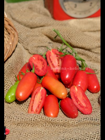 Томат Фляшен Pozano (Фляшен Позано), 10 шт