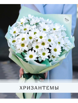 Хризантемы