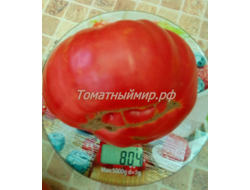 Томат Клеота розовая (Cleota Pink) США