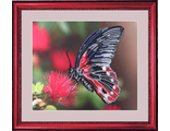 Бабочка  103, Butterfly (набор для вышивания бисером) vbn