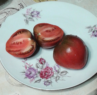 Семена томата Тундра