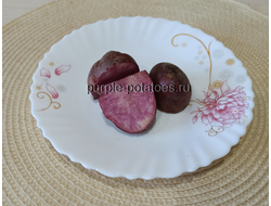 Семенной картофель Хортица