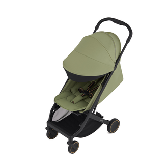 Коляска 3в1 Anex Air-X2 Vert 2025
