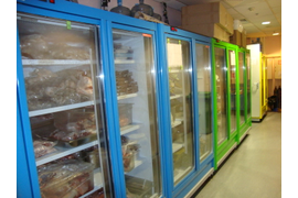 Ремонт и обслуживание торгового холода