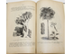 Палладин В.И. Морфология и систематика растений. СПб.: Тип. А.С.Суворина, 1905.