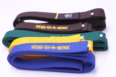 APIKA пояс для каратэ с вышивкой IFK