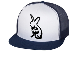 Кепка год Кролика №23