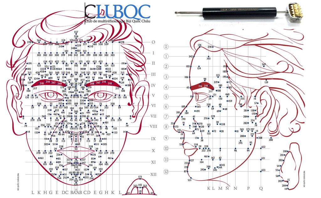 лицевая рефлексотерапия вьетнамский метод дьен чам. акупунктурный лифтинг лица схема. вьетнамский точечный массаж дьен чам. дьен чан методика. владимир заворотный.