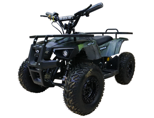 Детский квадроцикл MOTAX Mini Grizlik X-16 E1000 (BW) - Квадрики