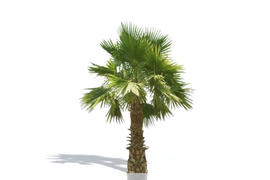 Создание щитов Billboards для Artlantis 5 - Artlantis 2021 (по вашей текстуре в формате png, tif, tga и т.п. с маской прозрачности)