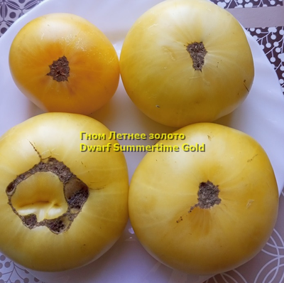 Томат Dwarf Summertime Gold (Гном Летнее Золото)