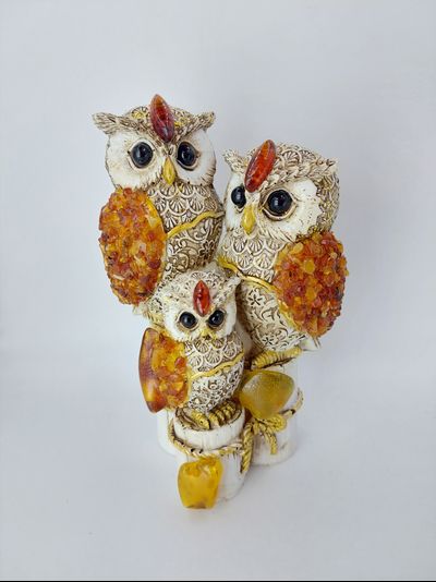 Совы тройные