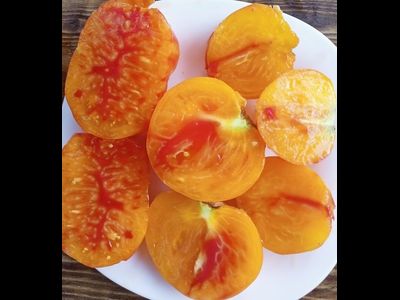 Томат Радужный сердцевидный джаз (Rainbow jazz heart)