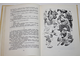 Неверов А. Ташкент - город хлебный. М.: Детская литература. 1977г.
