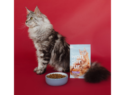 корм для кошек Wonderfur
