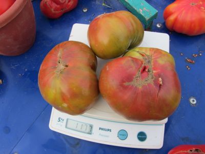 Томат Черный ананас, (Ananas Noire) США