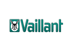 Запчасти для котлов Vaillant