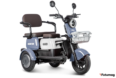 Электротрицикл Rutrike Gelbert Sun 48V/60V 650Вт фиолетово-белый