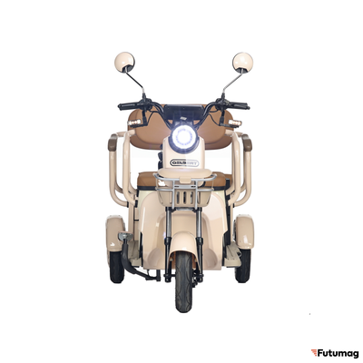 Электротрицикл Rutrike Gelbert Atlas 48V/60V 600Вт бежевый