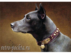 КАРЛ РАЙХЕРТ 4429