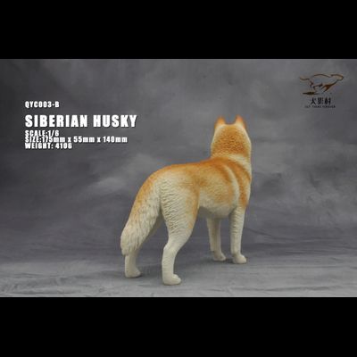 Сибирская хаски (рыжая) - Коллекционная ФИГУРКА 1/6 scale Husky (QYC003B) - QuanYingCun