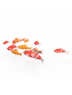 рыбы Карпы Кои Koi Fish