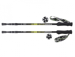 Палки Everest Green, треккинговые 105-135см 3-х секционные