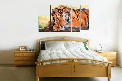 Модульная картина "Отдых тигра"