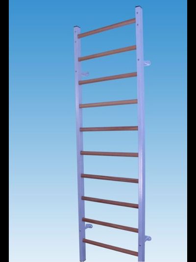 Шведская стенка СИЛА