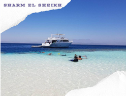 SEA TRIP VIP RAS MOHAMMED & WHITE ISLAND (WITH THE POSSIBILITY OF DIVING FOR BEGINNERS)