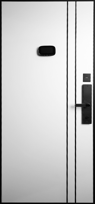 Стальная дверь   Forest (биометрический замок Smart lock R06)