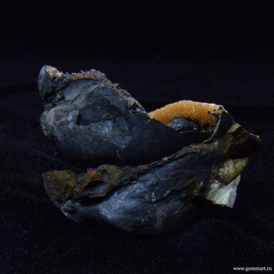 Барит на псиломелане в полости ракушки. 50*50*42мм