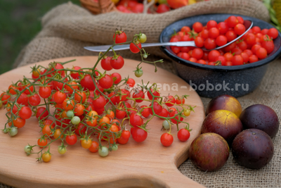 Томат ампельный Сотни и тысячи (100 и 1000), 10 шт.