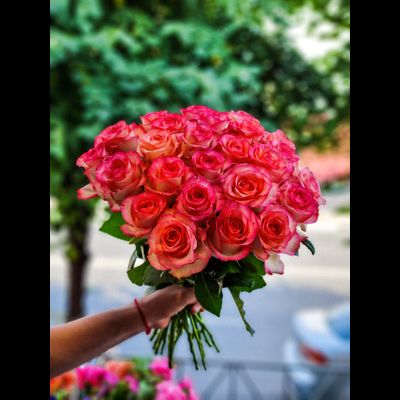 Роза Россия "Джумилия" 40 см 25 шт