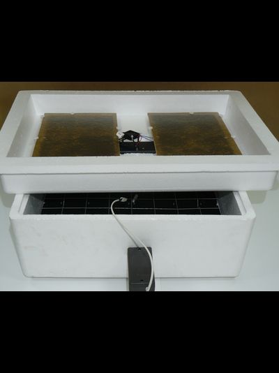 Инкубатор "Умная наседка" на 104 яйца