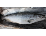 Семга свежемороженая с головой 5-6 кг