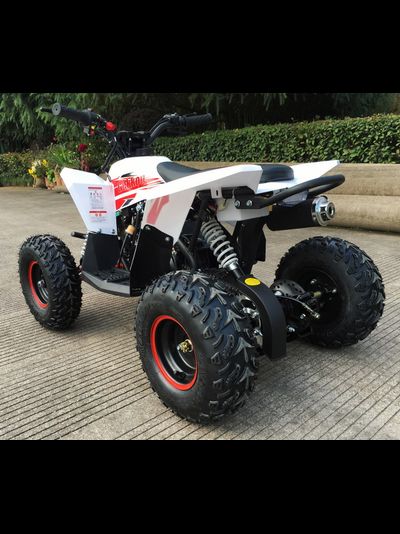 Детский квадроцикл Motax GEKKON 90cc