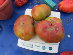 Томат Черный ананас, (Ananas Noire) США